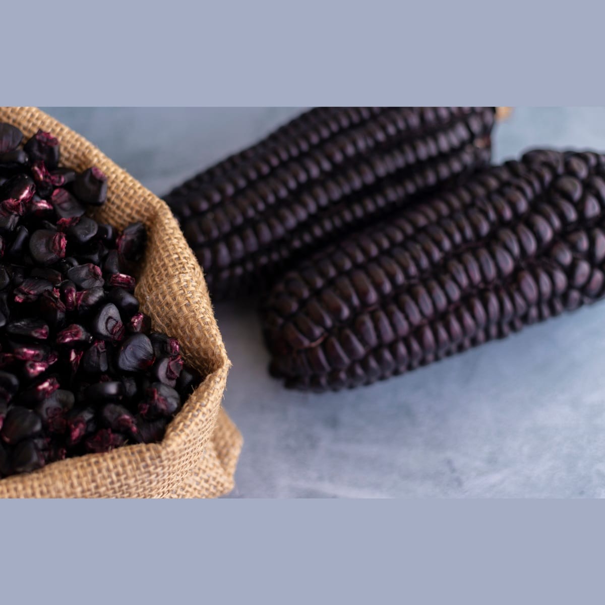 Maiz morado, superalimento peruano rico en antocianinas